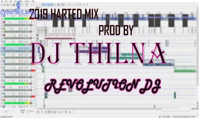 2019 New Harted Mix