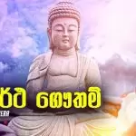 Sidhdhartha Gautham