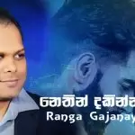 Nethin Dakinnathi