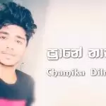 Prane Thathta