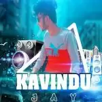 100Bpm Thanikama Laga Hitha Hip Hop Remix