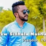 New Sinhala Mashup Song