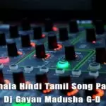 2Q19 Sinhala Hindi Tamil Song Party Mix 2
