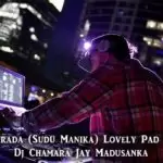 Allagena Perada (Sudu Manika) Lovely Pad Style Remix