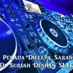 Deviyani Perada Dileepa Saranga Remix