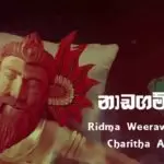 Naadagam Geeya