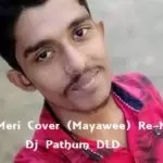 Teri Meri Cover (Mayawee) Re-Mix