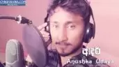 Adari