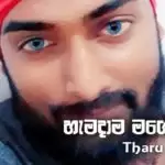 Hamadama Mage Diwiye
