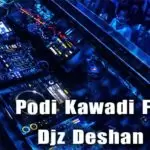 Podi Kawadi Fun 16