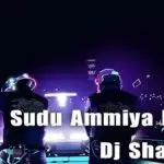 Sudu Ammiya Remix