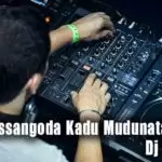 Ussangoda Kadu Mudunata Remix