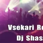 Vsekari Remix