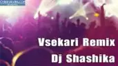 Vsekari Remix