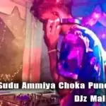145 BPM Sudu Ammiya Choka Punch Remix