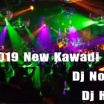 2019 New Kawadi Bailla Dj Nonstop