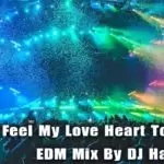 2K19 Feel My Love Heart Touching EDM Mix
