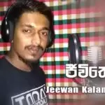 Jeewithema