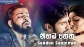 Nihada Nethu