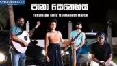 Pana Senehasa Cover