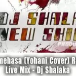 Pana Senehasa (Yohani Cover) Romantic Live Mix