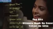Pop Hits (Ultimate Mash Up Cover)