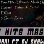 Pop Hits (Ultimate Mash Up Cover) 4 Genre Type Remix