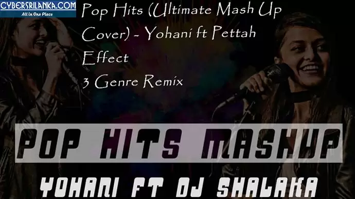 Pop Hits (Ultimate Mash Up Cover) 4 Genre Type Remix