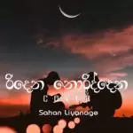 Ridena Noriddana (Cover)