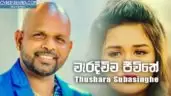 Waradichcha Jeevithe