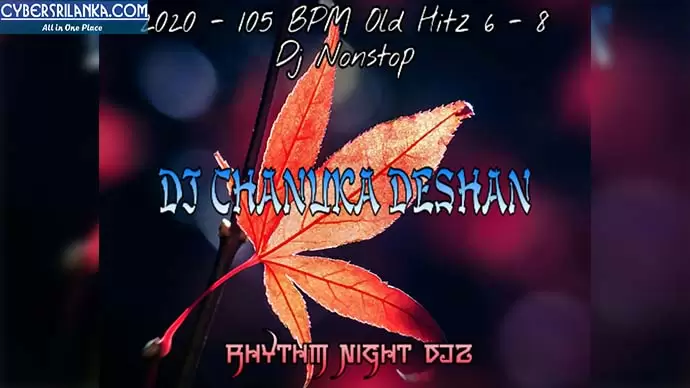 2020 105BPM Old Hitz 6-8 Dj Nonstop