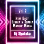 2D20 New Boot Reggea n Thabla V2 Mashup Mania