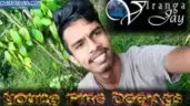 2K20 Anthima Adarayai (Romsh Sugathapala) SPD Sx Mix