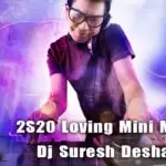 2S20 Loving Mini Mashup