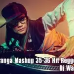 Dileepa Saranga Mashup 35-36 Hit Reggeton Remix