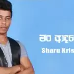 Man Adarei