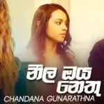 Neela Oya Nethu