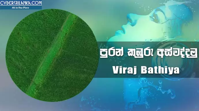 Puran Kuburu Aswaddamu Theme Song - Viraj Bathiya
