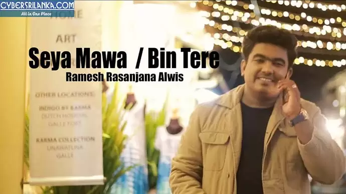 Seya Mawa & Bin Tere Mashup