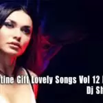 2020 Valantine Gift Lovely Songs Vol 12 Dj Nonstop