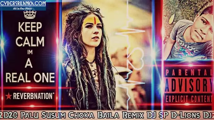 2D20 Palu Susum Choka Baila Remix