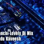 Mage Panchi Lovely Dj Mix