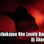 Mathakayan Obe Lovely Dance Mixz