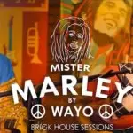 Mister Marley (Tribute)