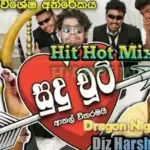Sudu Chooty (Sippi Cinema) Hit Hot Mix