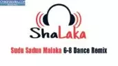 2020 Daiwaye Theeranayak Male n Female Voice Loving Remix