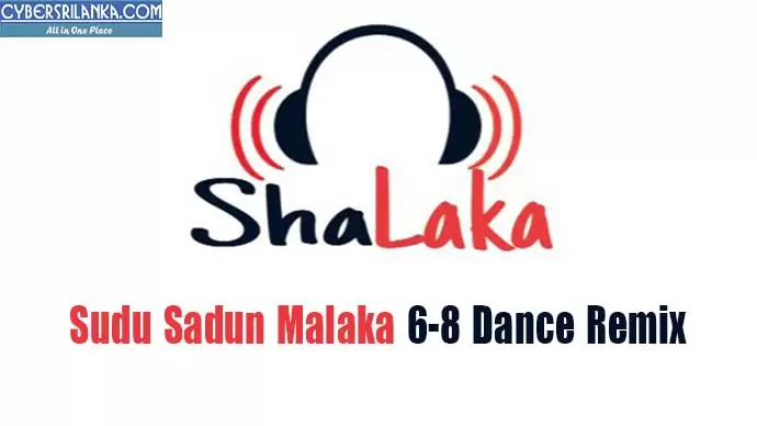 2020 Daiwaye Theeranayak Male n Female Voice Loving Remix