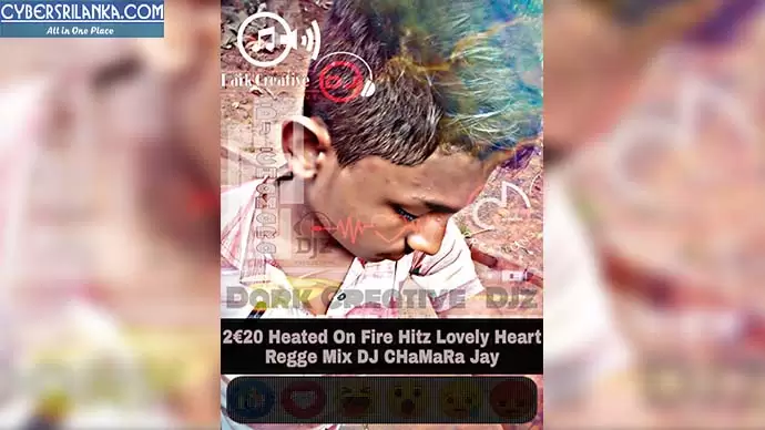 2C20 Heated On Fire Hitz Lovely Heart Regge ReMix