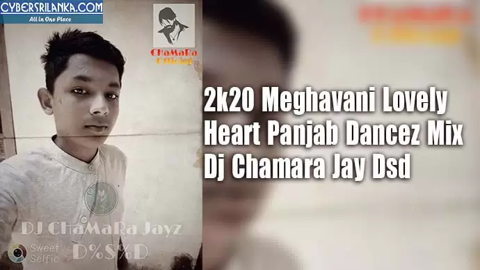 2k20 Meghavani Lovely Heart Panjab Dancez Mix