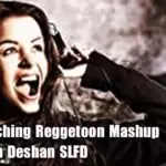 Hert Touching Reggetoon Mashup